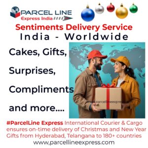 Securely packed gift box with a #ParcelLine Express label being held by a smiling delivery professional.